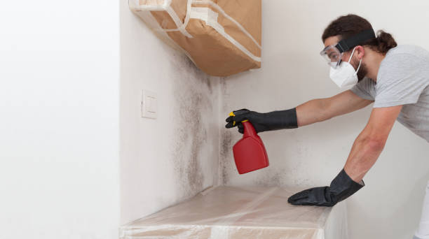 Professional Mold Inspection And Testing technician working in Levering, MI